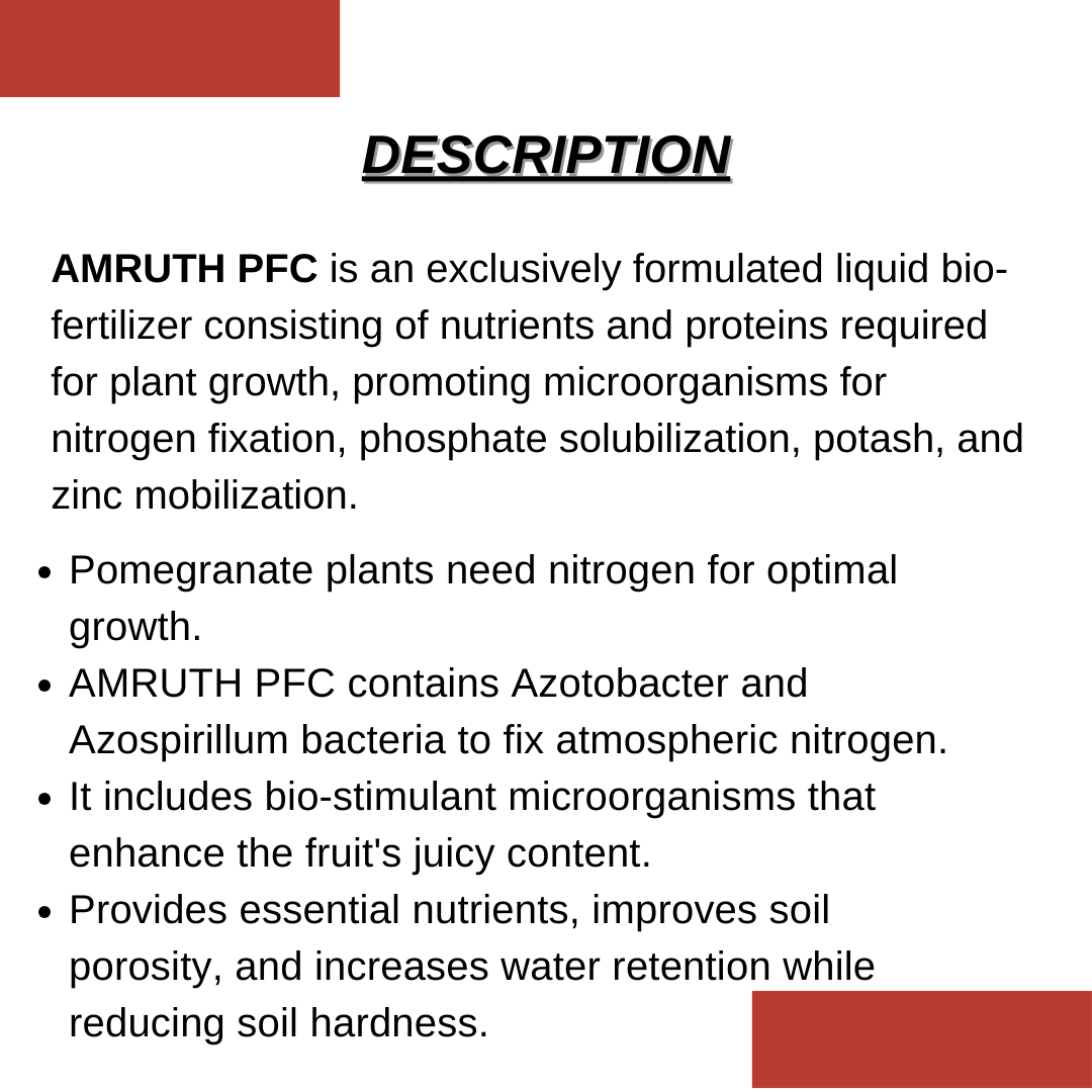 POMEOGRANATE-GROW|AMRUTH-POMEGRANATE-FRUIT-MICROBIAL-CONSORTIA-(PFC)-5L
