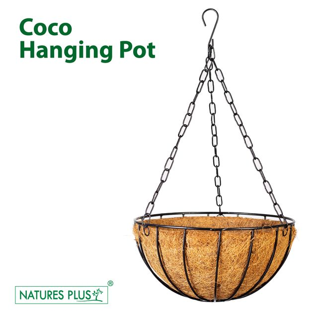 NATURES PLUS | COCO HANGING POT 10 INCH | PACK OF 3