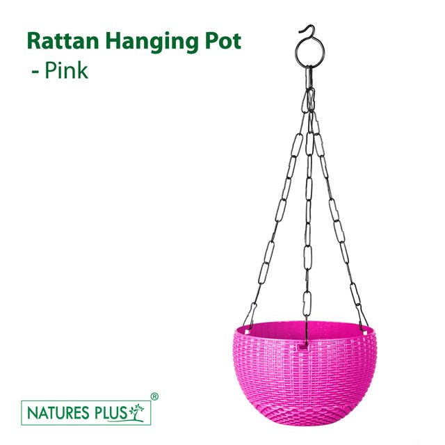 NATURES PLUS | RATTAN HANGING POT 8 INCH PINK | SET OF 6