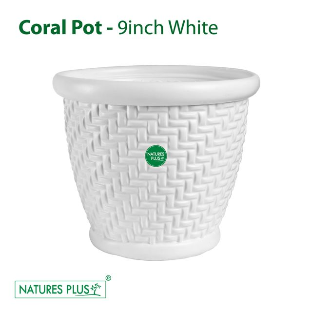 NATURES PLUS | CORAL POT 9 INCH WHITE | PACK OF 3