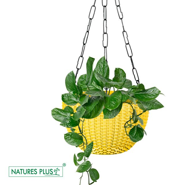 NATURES PLUS | RATTAN HANGING POT 8 INCH YELLOW | SET OF 6