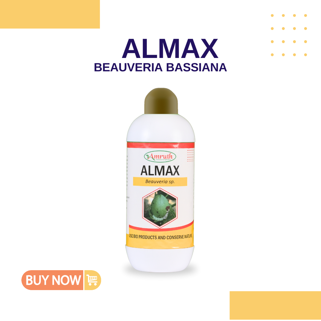 ALMAX | Beauveria bassiana | Bio insecticide | Effectively controlls caterpiller and grubs | Grub killer