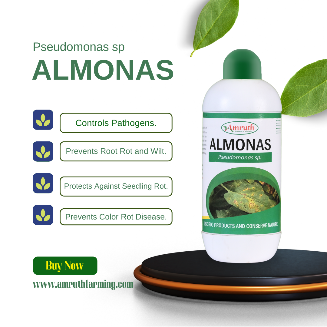 ALMONAS | Pseudomonas fluorescence | bio fundiside | effective control on leaf spot, wilt and blight | bactericide | organic product bio fungicides