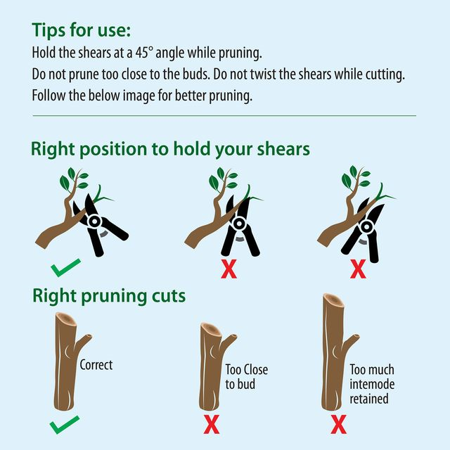 NATURES PLUS | PRUNING SHEAR RED & WHITE | BYPASS PRUNERS,SECATURES,GARDEN HAND SHEARS,FRUIT CUTTER,PREMIUM PRUNERS