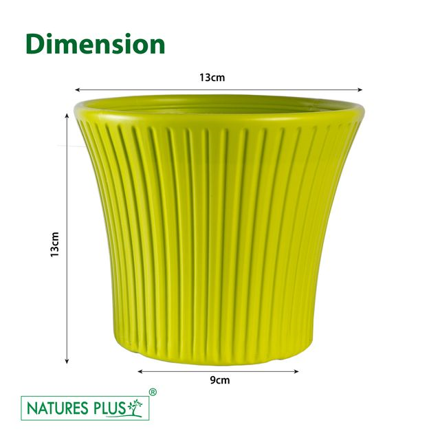 NATURES PLUS | SUNRISE POT 5 INCH GREEN Set of 6