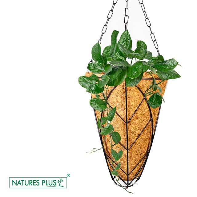 NATURES PLUS | COCO HANGING CONICAL POT 9 INCH | PACK OF 3