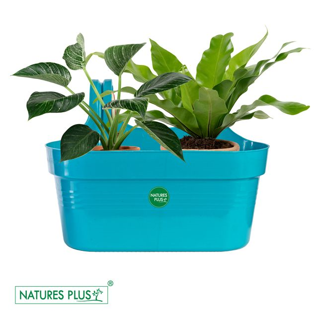 NATURES PLUS | GLORY DOUBLE HOOK POT BLUE | PACK OF 3