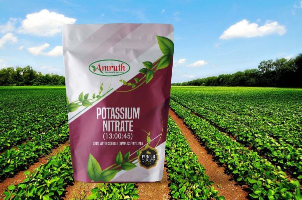 POTASSIUM NITRATE 13:00:45 | Water Soluble Fertilizer For Vegetables, Flower, Hydroponics And Fruits