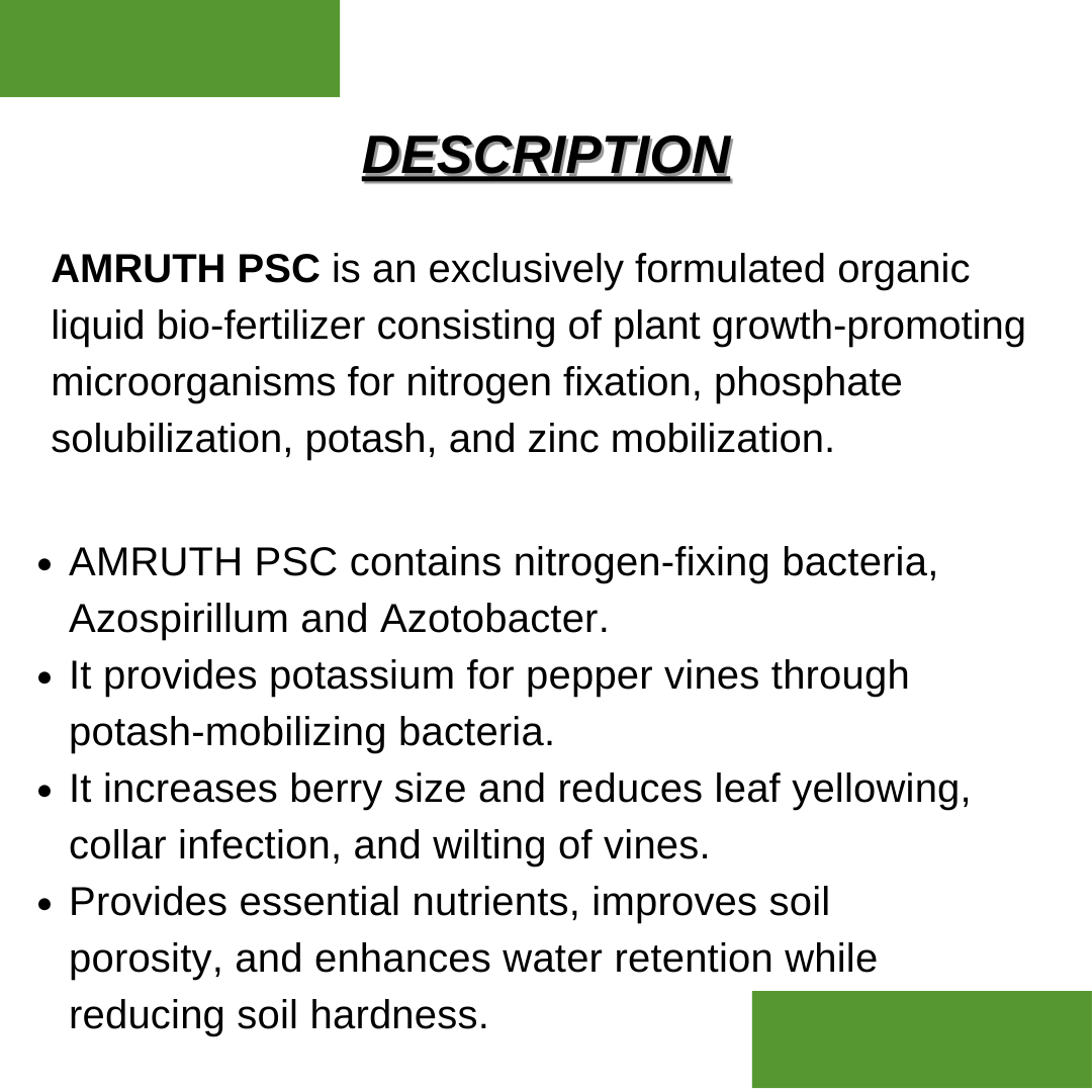 PEPPER-GROW|AMRUTH-PEPPER-SPICE-MICROBIAL-CONSORTIA-(PSC)-5L