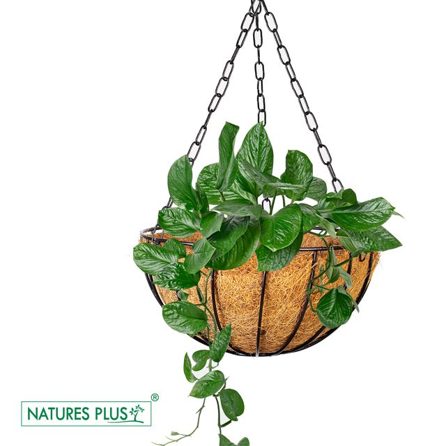 NATURES PLUS | COCO HANGING POT 10 INCH | PACK OF 3