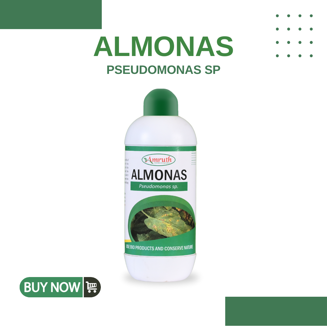 ALMONAS | Pseudomonas fluorescence | bio fundiside | effective control on leaf spot, wilt and blight | bactericide | organic product bio fungicides
