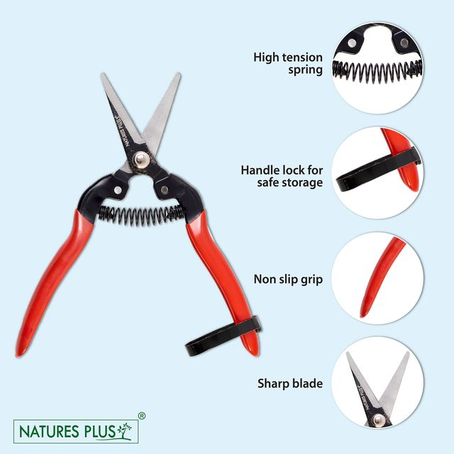 NATURES PLUS | FRUIT SNIPPER | BYPASS PRUNERS,SECATURES,GARDEN HAND SHEARS,FRUIT CUTTER,PREMIUM PRUNERS,FRUIT SNIPPER