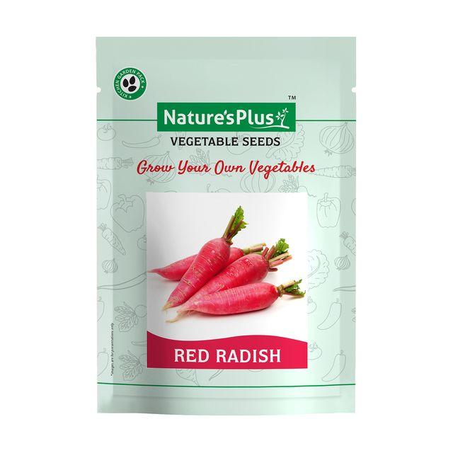 NATURES PLUS | Kitchen garden vegetable seeds pack of 6 | 6 Packet vegetable seeds For home gardening Pots | Vegetables seeds | Lady finger, Cauliflower, Cabbage, Carrot, Beetroot, Radish