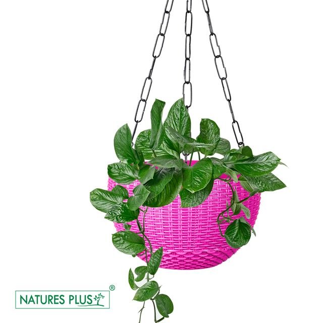 NATURES PLUS | RATTAN HANGING POT 8 INCH PINK | SET OF 6