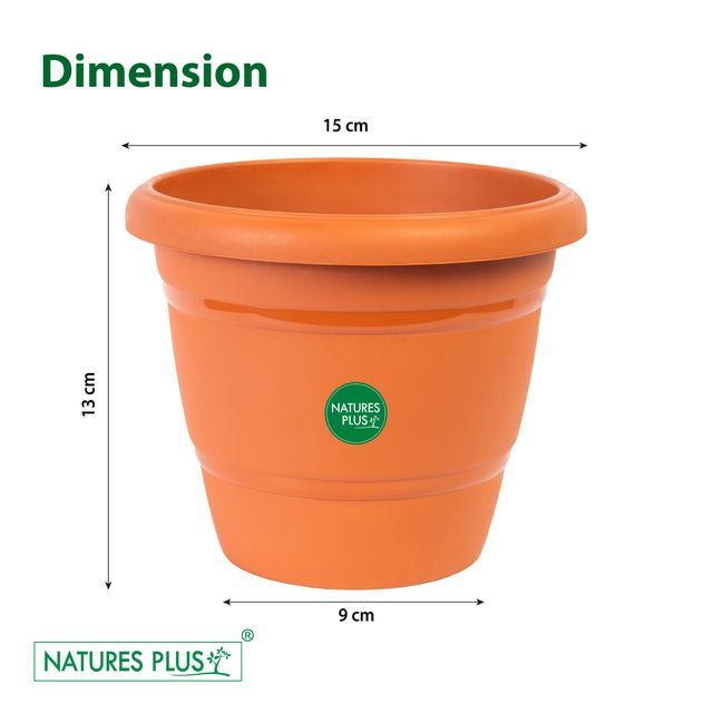 NATURES PLUS Plastic Flower Pots for Garden Planters 6 Inch Diameter Set of 4