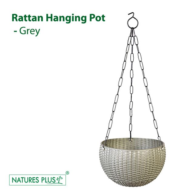 NATURES PLUS | RATTAN HANGING POT 8 INCH GREY | SET OF 6