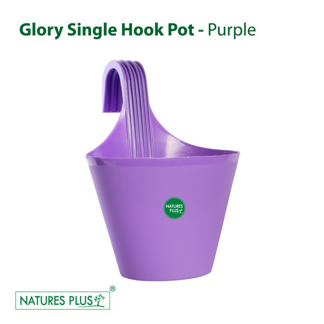 NATURES PLUS | GLORY SINGLE HOOK POT PURPLE | PACK OF 6