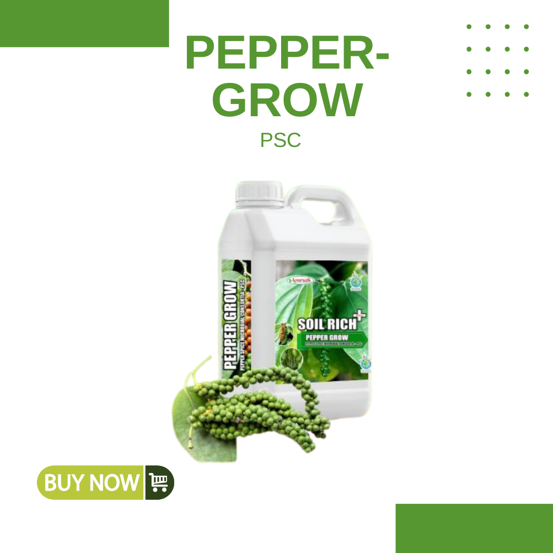 PEPPER-GROW|AMRUTH-PEPPER-SPICE-MICROBIAL-CONSORTIA-(PSC)-5L