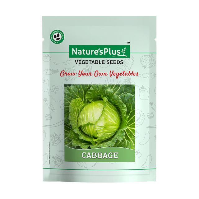 NATURES PLUS | Kitchen garden vegetable seeds pack of 6 | 6 Packet vegetable seeds For home gardening Pots | Vegetables seeds | Lady finger, Cauliflower, Cabbage, Carrot, Beetroot, Radish