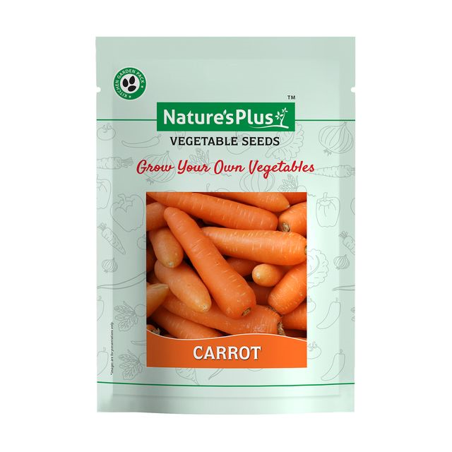 NATURES PLUS | Kitchen garden vegetable seeds pack of 6 | 6 Packet vegetable seeds For home gardening Pots | Vegetables seeds | Lady finger, Cauliflower, Cabbage, Carrot, Beetroot, Radish