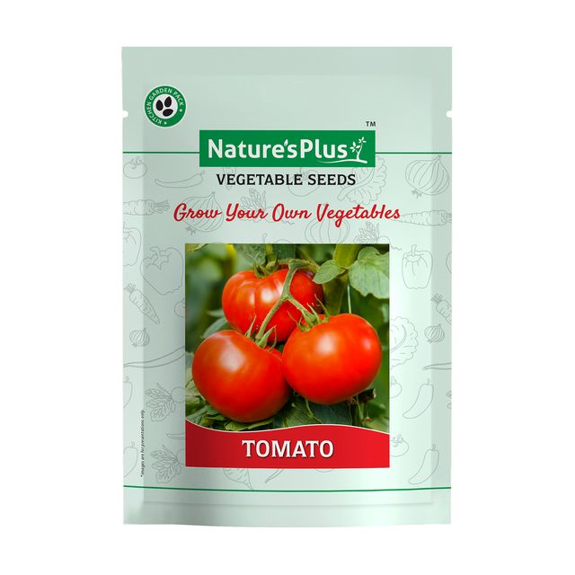 NATURES PLUS |  Kitchen garden vegetable seeds pack of 6 | 6 Packet Vegetable Seeds For Home Gardening Pots | Vegetables Seeds | (Coriander seeds, Tomato Seeds, Capsicum Seeds, Chili Seeds, Brinjal Seeds, methi Seeds 