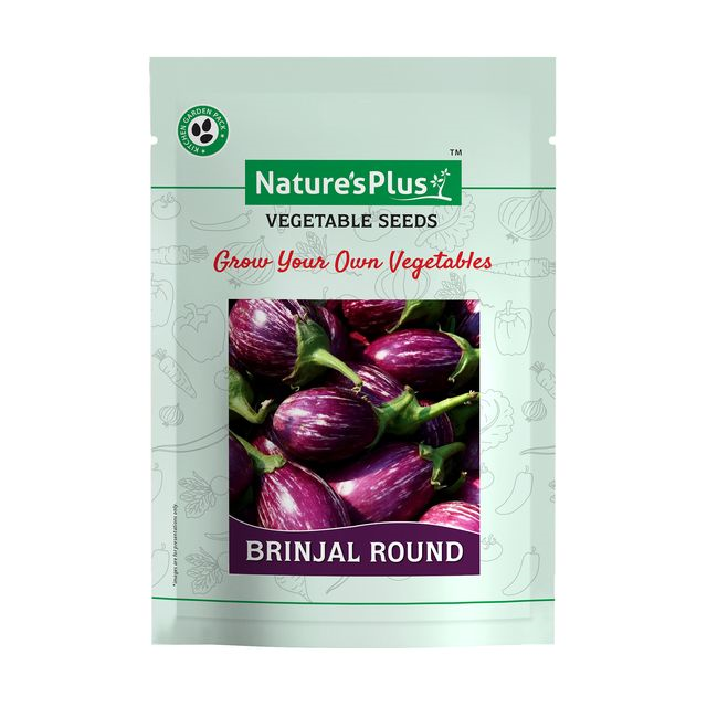 NATURES PLUS |  Kitchen garden vegetable seeds pack of 6 | 6 Packet Vegetable Seeds For Home Gardening Pots | Vegetables Seeds | (Coriander seeds, Tomato Seeds, Capsicum Seeds, Chili Seeds, Brinjal Seeds, methi Seeds 