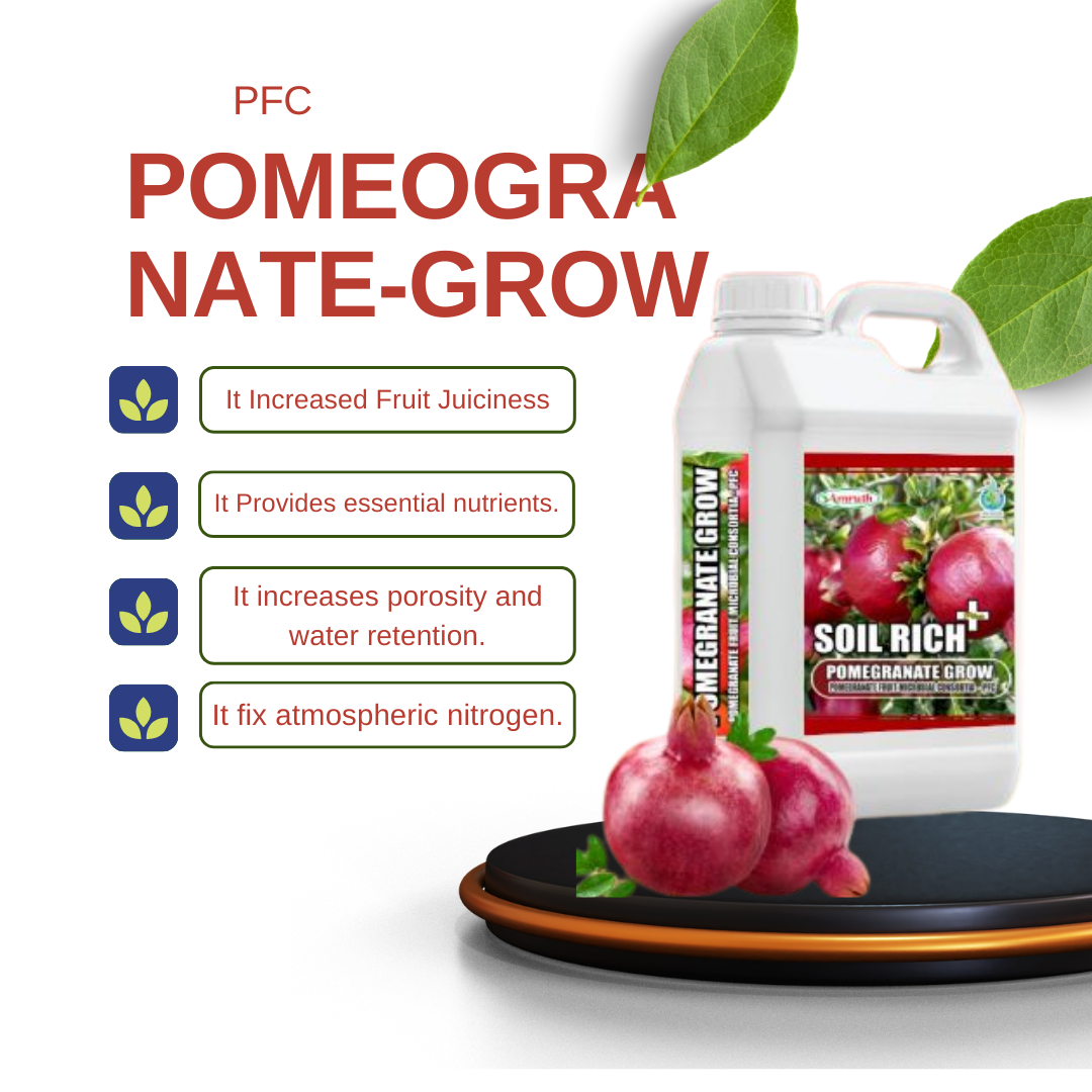 POMEOGRANATE-GROW|AMRUTH-POMEGRANATE-FRUIT-MICROBIAL-CONSORTIA-(PFC)-5L