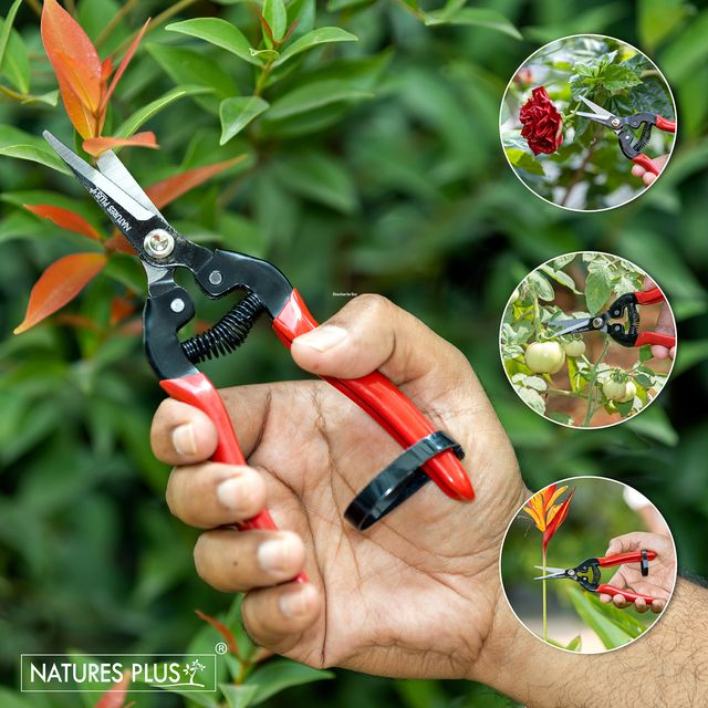 NATURES PLUS | FRUIT SNIPPER | BYPASS PRUNERS,SECATURES,GARDEN HAND SHEARS,FRUIT CUTTER,PREMIUM PRUNERS,FRUIT SNIPPER