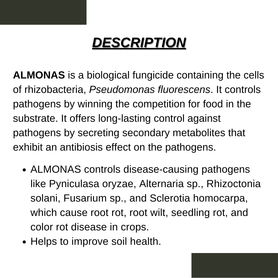 ALMONAS | Pseudomonas fluorescence | bio fundiside | effective control on leaf spot, wilt and blight | bactericide | organic product bio fungicides
