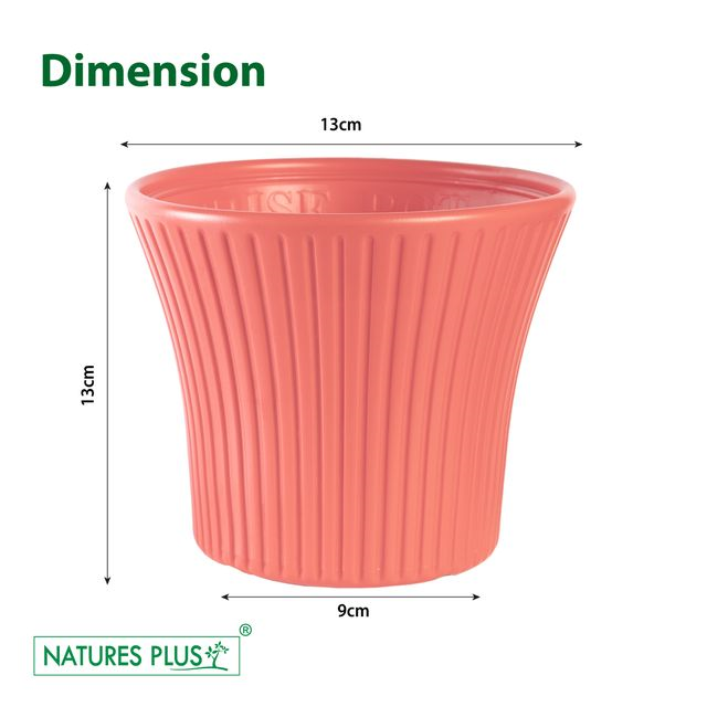 NATURES PLUS | SUNRISE POT 5 INCH PINK Set of 6