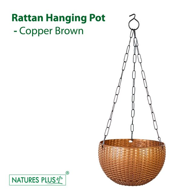 NATURES PLUS | RATTAN HANGING POT 8 INCH COPPER | SET OF 6