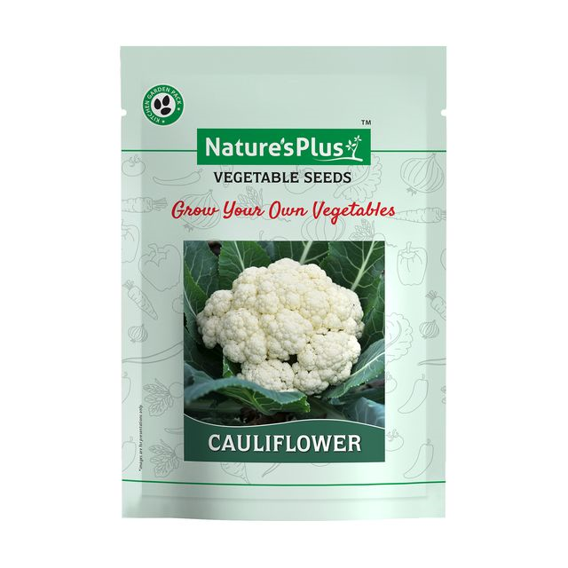 NATURES PLUS | Kitchen garden vegetable seeds pack of 6 | 6 Packet vegetable seeds For home gardening Pots | Vegetables seeds | Lady finger, Cauliflower, Cabbage, Carrot, Beetroot, Radish