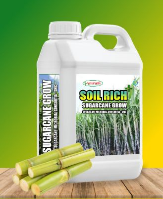 SUGARCANE-GROW|AMRUTH-SUGARCANE-MICROBIAL-CONSORTIA-(SMC)-5L