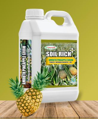 PINEAPPLE-GROW|AMRUTH-PINEAPPLE-GROW-(APG)-5L