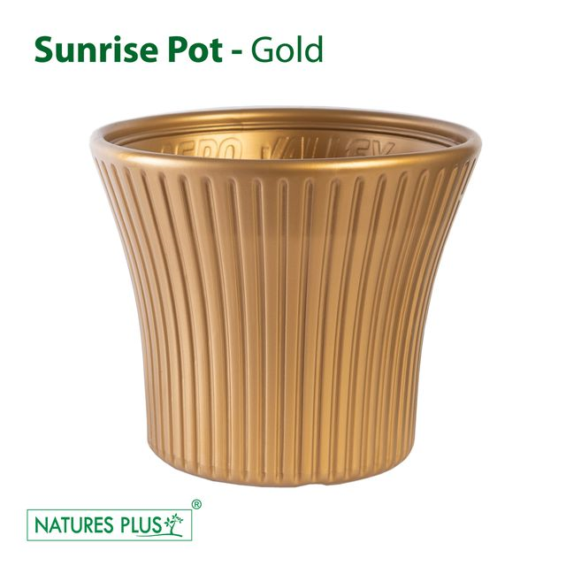 NATURES PLUS | SUNRISE POT 9 INCH GOLD Set of 3