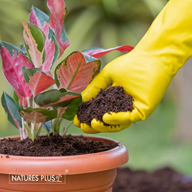 NATURES PLUS | GARDEN RUBBER GLOVES