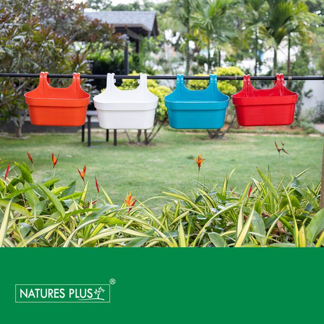 NATURES PLUS | GLORY DOUBLE HOOK POT WHITE | PACK OF 3