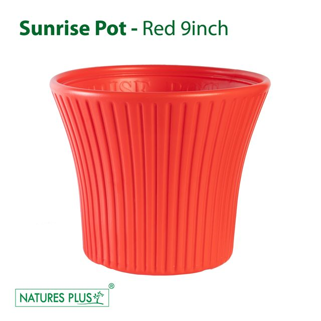 NATURES PLUS | SUNRISE POT 9 INCH RED Set of 3