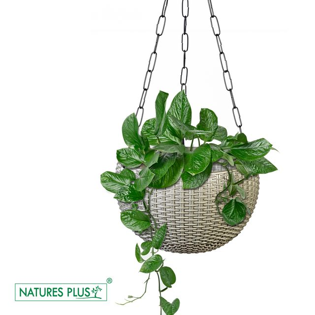 NATURES PLUS | RATTAN HANGING POT 8 INCH GREY | SET OF 6