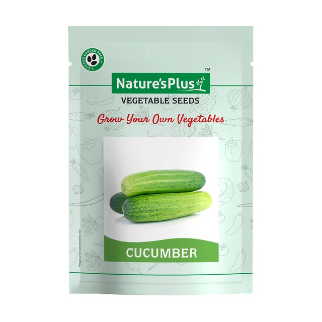 NATURES PLUS | Kitchen garden vegetable seeds pack of 6 | 6 Packet vegetable seeds For home gardening Pots | Vegetables seeds | Lettuce, Ridge Gourd, Coriander, Spinach, Cucumber, Bitter gourd