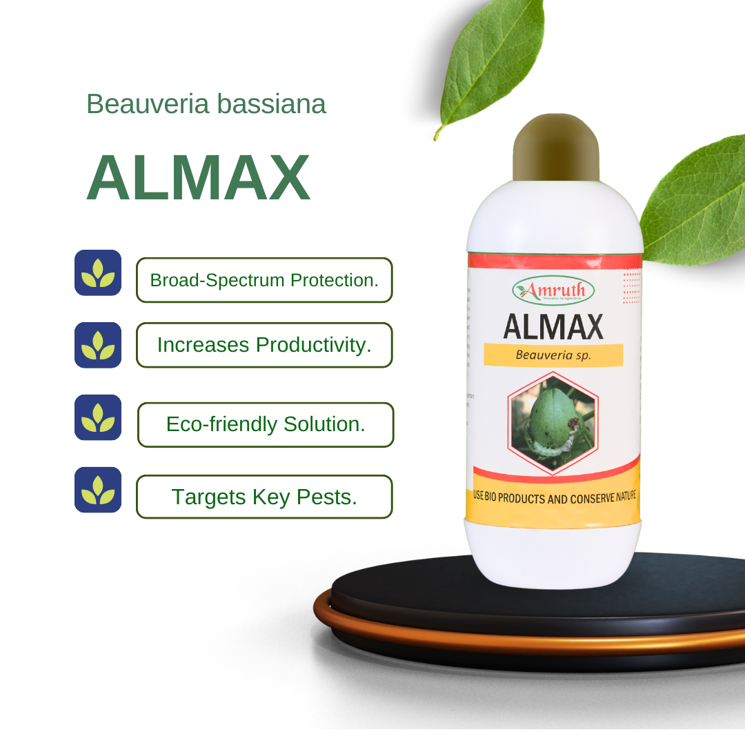 ALMAX | Beauveria bassiana | Bio insecticide | Effectively controlls caterpiller and grubs | Grub killer