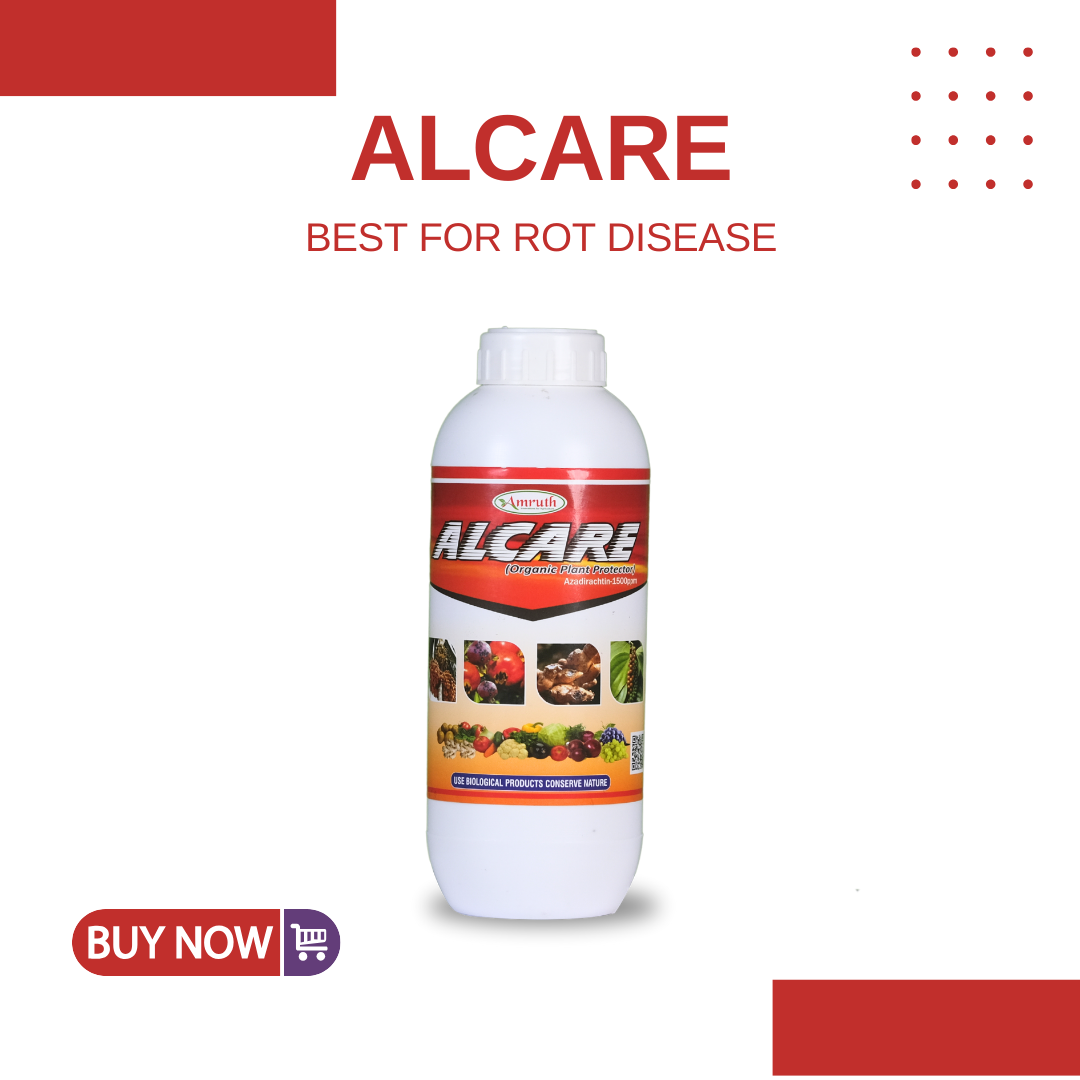 ALCARE | Best for rot disease | Neem oil based product | Bio fungicide