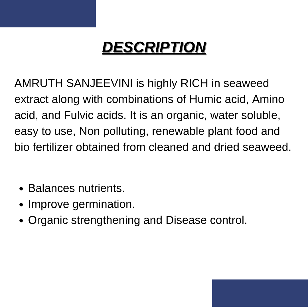 AMRUTH SANJEEVINI | Seaweed Extract Liquid Concentrate - Organic Fertilizer & Growth Promoter for Plants, 100% Water Soluble