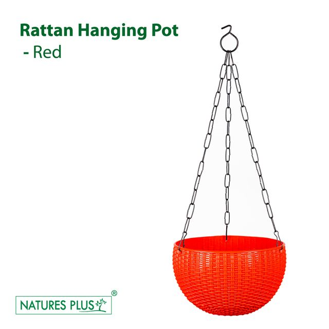 NATURES PLUS | RATTAN HANGING POT 8 INCH RED | SET OF 6