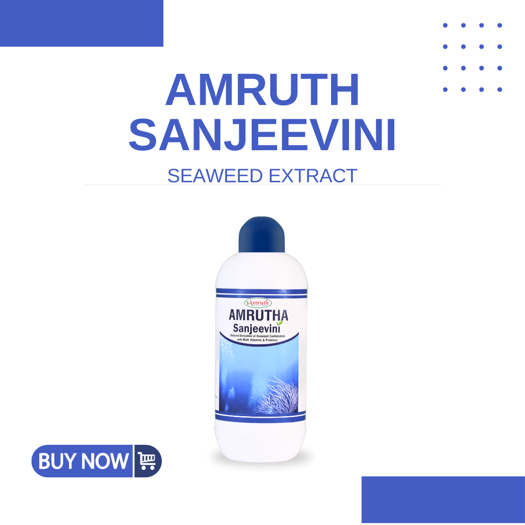 AMRUTH SANJEEVINI | Seaweed Extract Liquid Concentrate - Organic Fertilizer & Growth Promoter for Plants, 100% Water Soluble