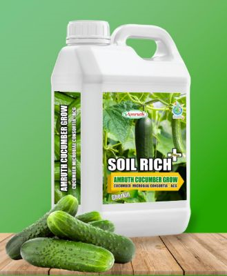 CUCUMBER-GROW|AMRUTH-CUCUMBER-MICROBIAL-CONSORTIA(ACG)-5L