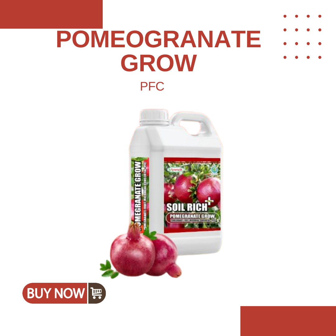 POMEOGRANATE-GROW|AMRUTH-POMEGRANATE-FRUIT-MICROBIAL-CONSORTIA-(PFC)-5L