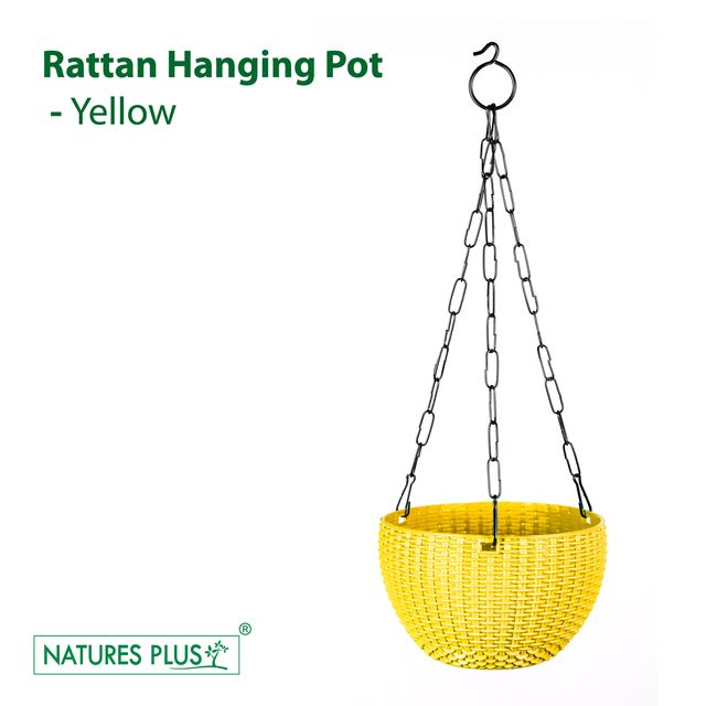 NATURES PLUS | RATTAN HANGING POT 8 INCH YELLOW | SET OF 6