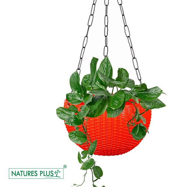 NATURES PLUS | RATTAN HANGING POT 8 INCH RED | SET OF 6